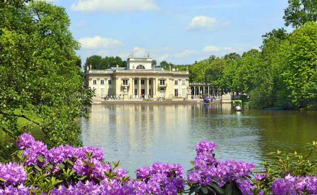 Pre-health shadowing programs in Warsaw, Poland